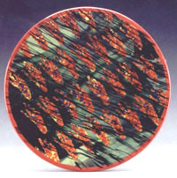 geotrack discs