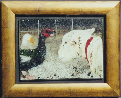 wildlife art